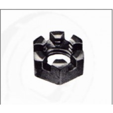 Slotted Nut